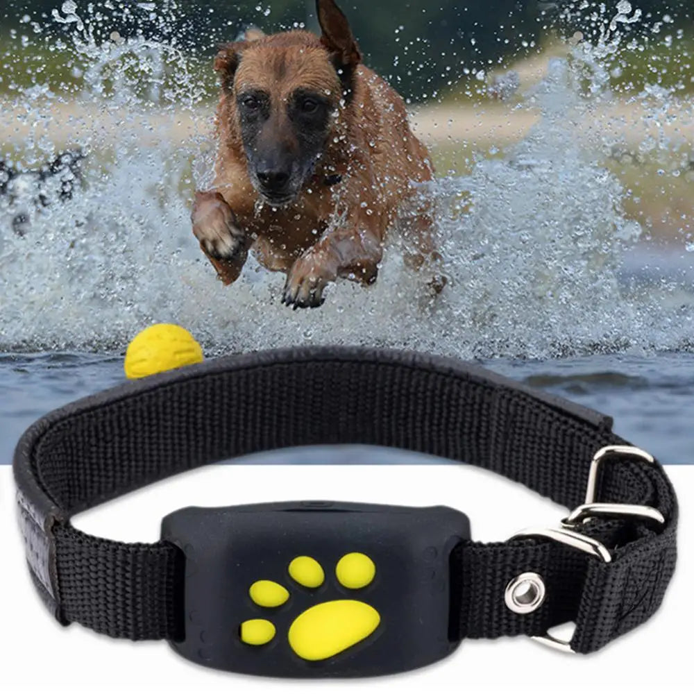 GPS Tracker Collar for Dogs and Cats - Security Solution with Real Time Tracking and Anti-Lost Function 