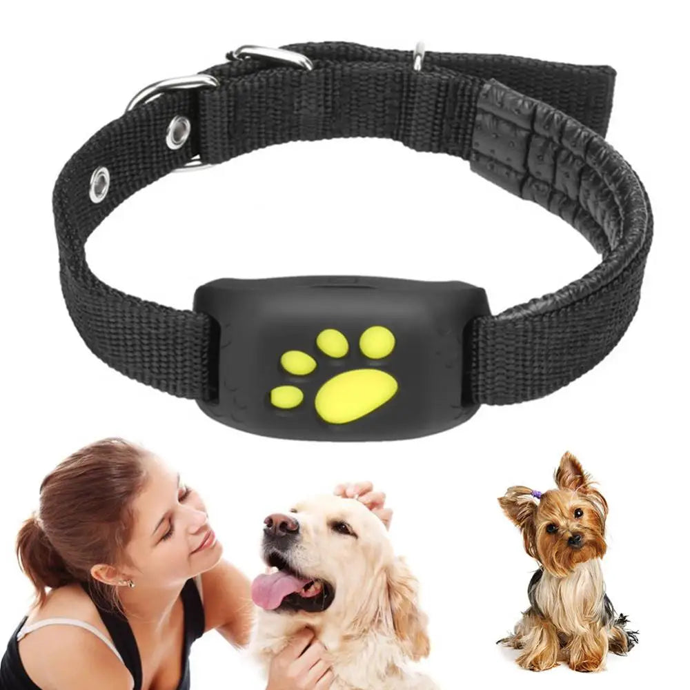 GPS Tracker Collar for Dogs and Cats - Security Solution with Real Time Tracking and Anti-Lost Function 